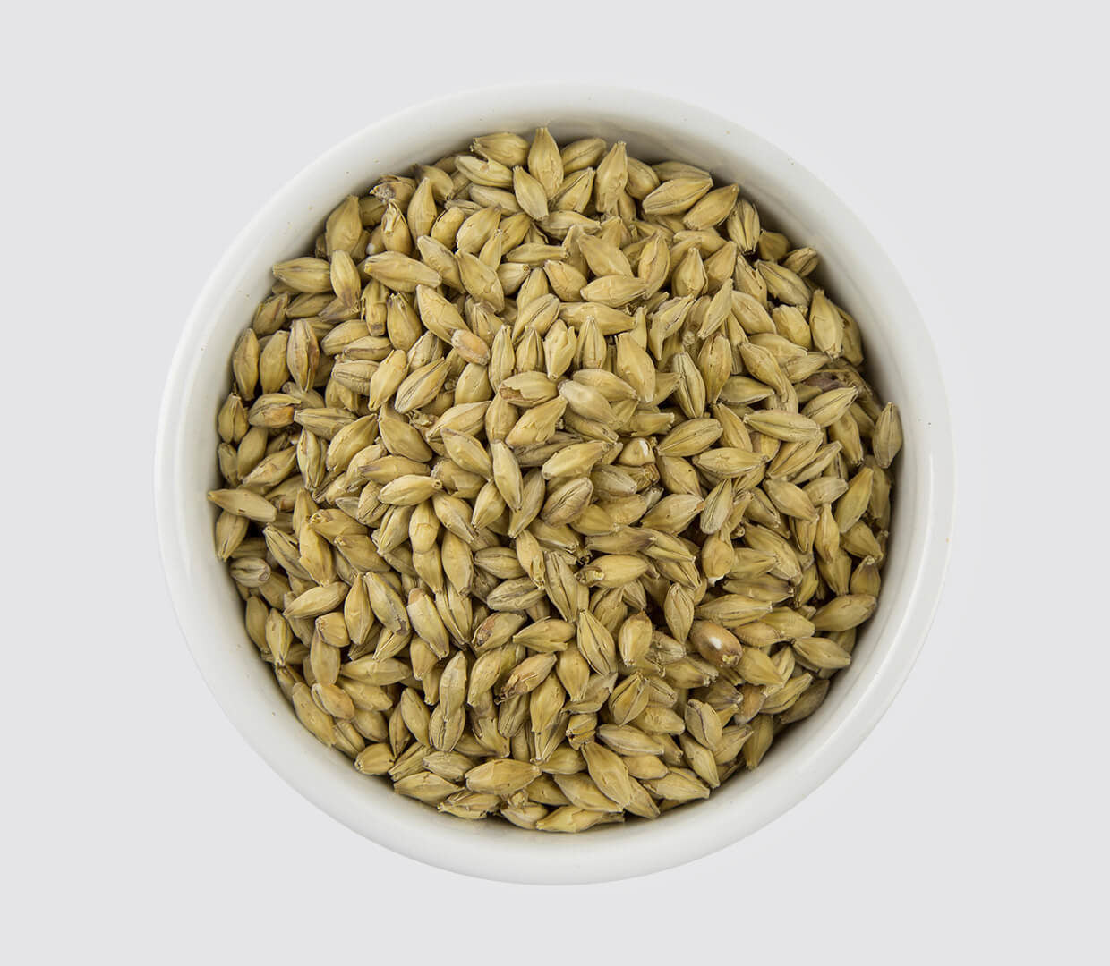 Munich Malt Havoc Brew Supply