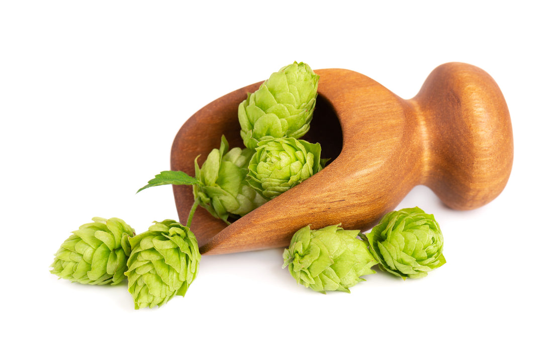 Exploring the Versatility of Simcoe Hops