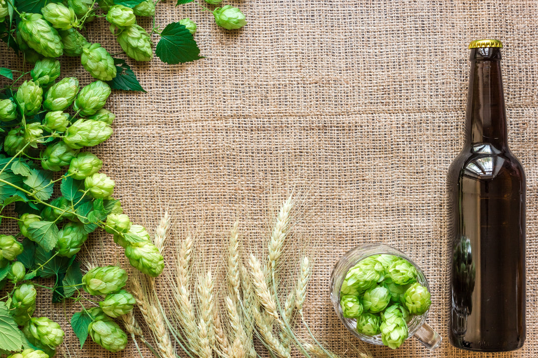 Nelson Sauvin Hops: A Guide to Enhancing White Wine-Like Notes in Large Batches