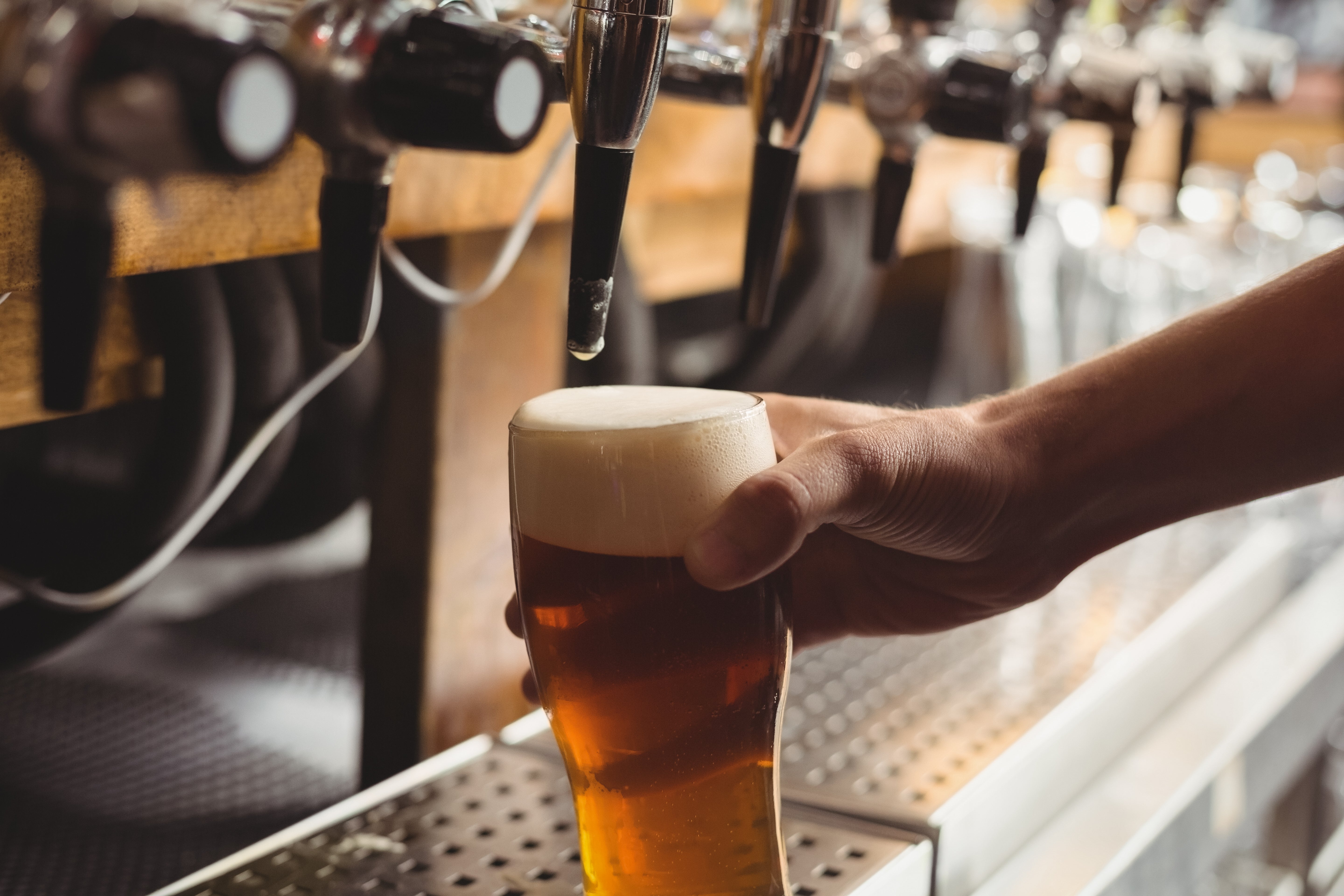 From Hop Fields to Your Glass: The Journey of Hops in Beer Production ...