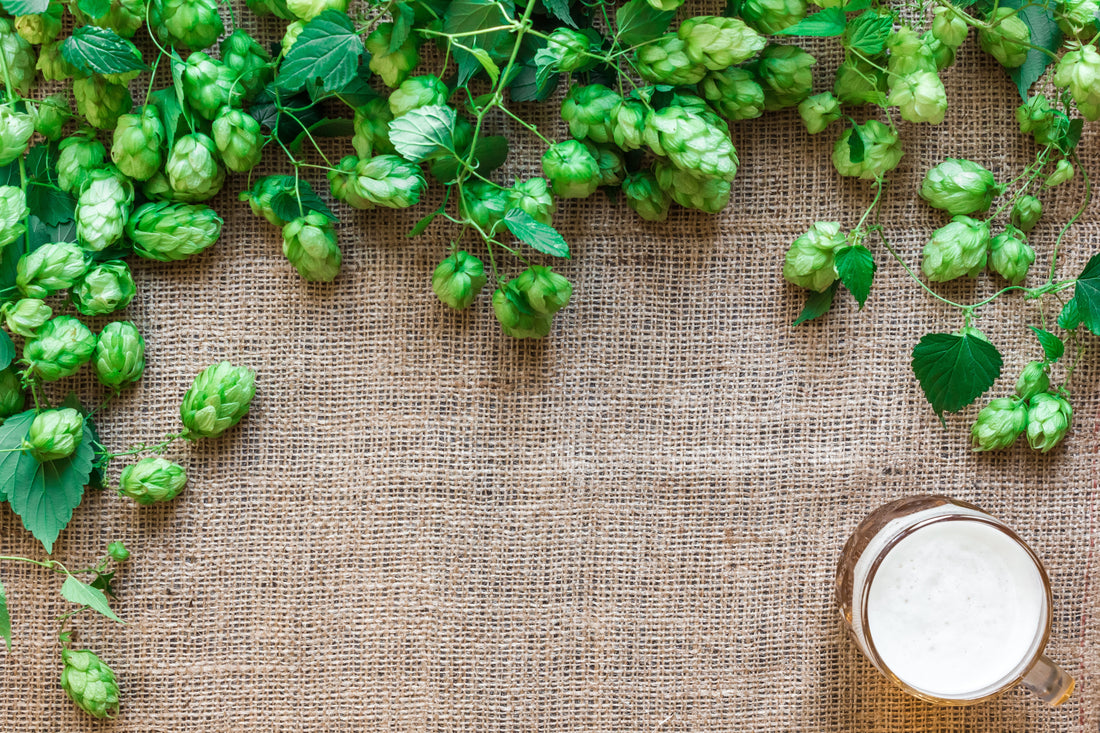 What to Expect from Beers Brewed with Citra Hops