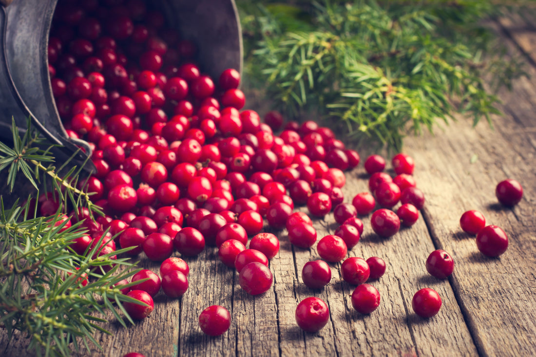 Balancing Cranberry In Your Holiday Beers