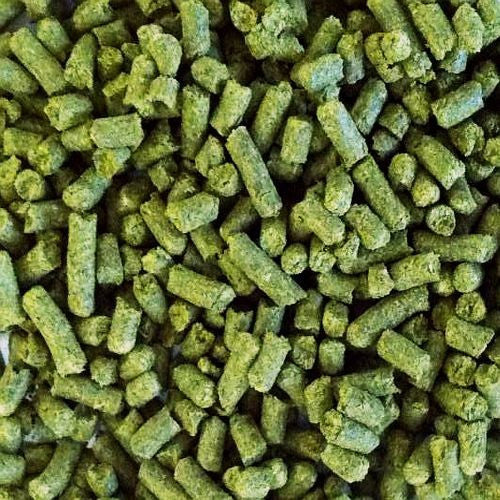 Idaho 7 - New to the Hop Game, But Already Making An Impact!