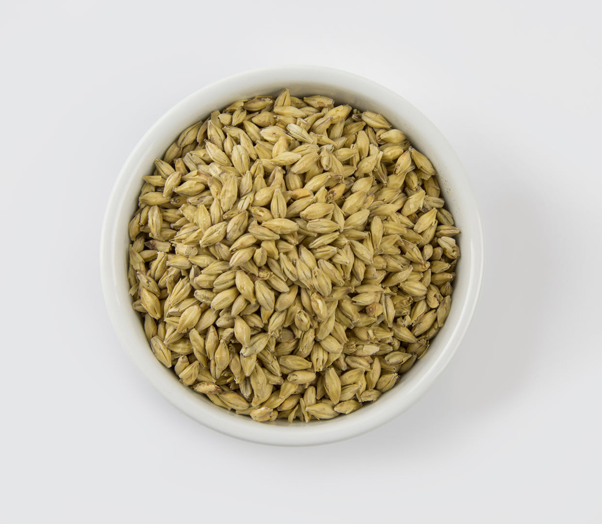 Pilsner Malt